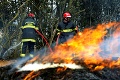 Francúzski hasiči zastavili rozsiahly požiar: Stihol však spáliť obrovské plochy lesa