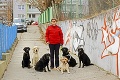 Slabozrakej Evke robí parťáka skutočný psí hrdina: Rio je mojimi očami