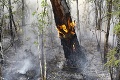 Čukotský polostrov ničia požiare: Vyše 20 000 hektárov lesa v plameňoch