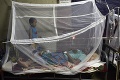 Epidémia dengue v Bangladéši: Najmenej 40 ľudí zomrelo, v nemocniciach sú tisíce chorých