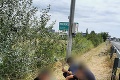 Policajti ukončili šialenú naháňačku pol kilometra od našich hraníc: V poli zadržali 11 Afgancov