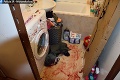 Horor v Nových Zámkoch: Muž vnikol do bytu exmanželky a potom prišiel krvavý kúpeľ