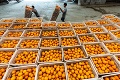 Vývoz pomarančov ohrozuje štrajk: Juhoafrickí pestovatelia mu čelia v hlavnom prístave krajiny