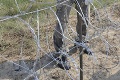 Maďarsko dokončilo výstavbu plota na hranici so Srbskom: Podarí sa naplniť jeho zámer?