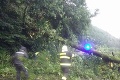 Hasiči v pohotovosti kvôli búrkam: Vlak narazil do padnutého stromu, doprava do Bratislavy je narušená