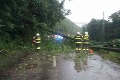 Hasiči v pohotovosti kvôli búrkam: Vlak narazil do padnutého stromu, doprava do Bratislavy je narušená