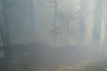 S požiarom na Orave bojujú už celé hodiny: Oheň sa snaží skrotiť 30 hasičov