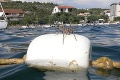 Po žralokovi v Chorvátsku musia dovolenkári rátať s novou hrozbou: Obrovské pavúky!