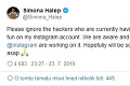 Simona Halepová obeťou podvodníkov: Pomoc, pošlite mi peniaze!