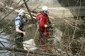 Záchranná akcia na severe Slovenska: Na rieke Kysuca uviazli traja rybári