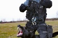 Polícia smúti za psím hrdinom z Lynx Commanda: Gumička pomáhal aj v kauze Kuciak