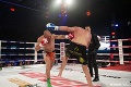 Thaiboxer Paleš ťahá neuveriteľnú šnúru: Na Enfusion neprehral už 4 roky za sebou