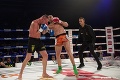 Thaiboxer Paleš ťahá neuveriteľnú šnúru: Na Enfusion neprehral už 4 roky za sebou