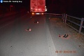 Nešťastie na východe Slovenska: Chodec zomrel po zrážke s nákladným autom
