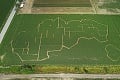 Najväčší labyrint Európy je vo Vlčkovciach: Bludisko v kukurici dá zabrať deťom aj dospelým