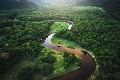 Satelitné zábery odhalili škandál: Každú minútu zmizne amazonský prales vo veľkosti futbalového ihriska