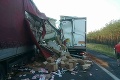 Vážna nehoda: Diaľnica D2 pred Malackami je neprejazdná, zrazili sa tam dva kamióny
