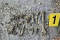 Záhadný objav v Nových Zámkoch:  V montážnej jame našli ľudské kosti