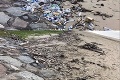 Konečne výzva, ktorá má zmysel! Tisícky ľudí čistia ulice, parky či pláže od odpadkov: Zapojte sa aj vy