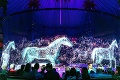Nevídané predstavenie v nemeckom cirkuse: Namiesto zvieratiek vystupujú hologramy
