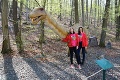 Zoo v Košiciach chystá pre návštevníkov veľké prekvapenie: Táto vzácna šelma sa k nám vráti po 30 rokoch!