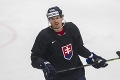 Tvrdo trénuje a čaká: Dvojnásobný šampión NHL Tomáš Kopecký je stále bez zmluvy!