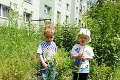 Prešovské sídliská sa zmenili na divočinu, mestský úrad sa vyhovára na dažde: Veď v tej tráve sa stratia aj deti!