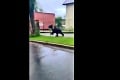 Ružomberkom sa prehnal obrovský medveď, polícia dvíha varovný prst: Slová domácich úprimne šokujú!