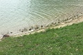 Návštevníkom obľúbeného jazera v Bratislave sa naskytol desivý pohľad: Šíri sa vo vode na Kuchajde nákaza?!