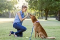 Neopakujte chyby, ktoré robia mnohí: Ako udržať psa v zdraví