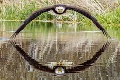Unikátna momentka orla je dokonalá ilúzia: Oko dravca