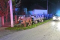Nočný zásah pri Komárne: Jedného koňa viedli dvaja ožratí pohoniči