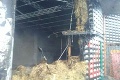 Mimoriadna situácia v Žiline: Nočný požiar zasiahol mostné teleso a piliere Rondla