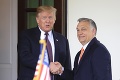 Orbán sa skamarátil s Trumpom: Fandím mu k znovozvoleniu, robí dobre pre strednú Európu