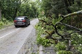 Padali stromy aj semafory: Záhreb zažil najprudšiu búrku s vetrom za posledných 45 rokov
