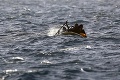 Otrasný nález v člne: Posádka objavila telá 21 žien a jedného muža