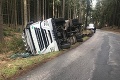 Kuriózna nehoda v Česku: Havaroval kamión s 200 prasatami, hasiči ich naháňali po lese