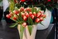 Kvetinový festival Flóra otvoril brány: Lákadlom sú kráľovské tulipány a figy