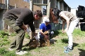 Rómsku štvrť zaplavili veterinári, policajti aj aktivisti: Psíkov v Poštárke vakcinovali zadarmo