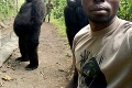 Ochrancovia prírody vychovali dve gorily: Ich jedinečná spoločná fotka obletela celý internet