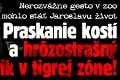 Nerozvážne gesto v zoo mohlo stáť Jaroslavu život: Praskanie kostí a hrôzostrašný krik v tigrej zóne!