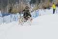 Do Tatranskej Lomnice zavítali snežné psy: Deti vozili na sánkach majstri medzi mašérmi