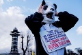 Čína zapožičala Dánsku dve pandy: Uvidíte, ako samček zapózoval foťákom, hneď sa zamilujete