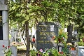 Záhadná smrť Jiřího Schelingera († 30) v Bratislave: Prečo sa nechal vyprovokovať k osudnému skoku?