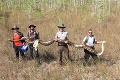 Na Floride chytili vyše päťmetrového pytóna: Až pri pohľade na fotku s vedcami si uvedomíte, aký je obrovský