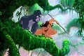 Najlepšími priateľmi Kodyho sú divé zvery a šelmy: Novodobý Tarzan žije s opicami!