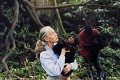 Primatologička Jane Goodall: Človeku ukázala najbližšieho príbuzného - šimpanza