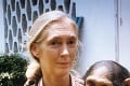 Primatologička Jane Goodall: Človeku ukázala najbližšieho príbuzného - šimpanza