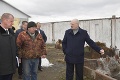 Bieloruský prezident Lukašenko zhrozený zo stavu zvierat na farme: Kvôli kravám padali hlavy
