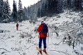 Od snehovej pohromy v Žiarskej doline uplynulo 10 rokov: Storočnú lavínu príroda stále upratuje